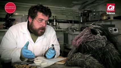 SCIENCES VULGAIRES SON BLADE RUNNER