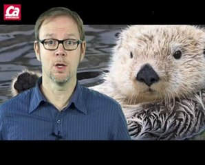 Les hommes préhistoriques polluaient déjà ?