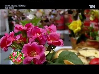 Mariana Stanescu - M-am jurat de multe ori (Tvh - 09.04.2017)