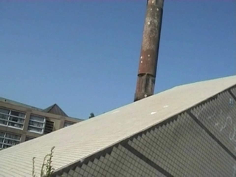 La planche à roulettes en 2004