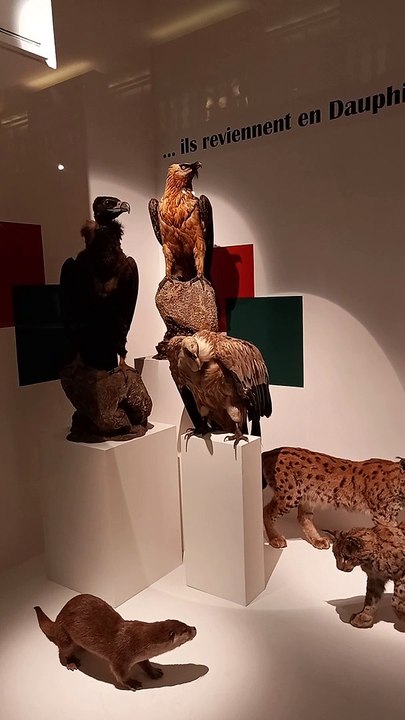 Muséum d'histoire naturelle de Grenoble (42)