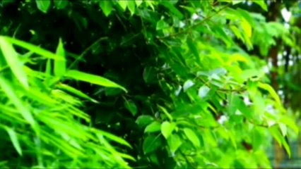 Relaxing Music & Rain Sound Beatifull Piano Background Music, Sleep Music• You & Me.