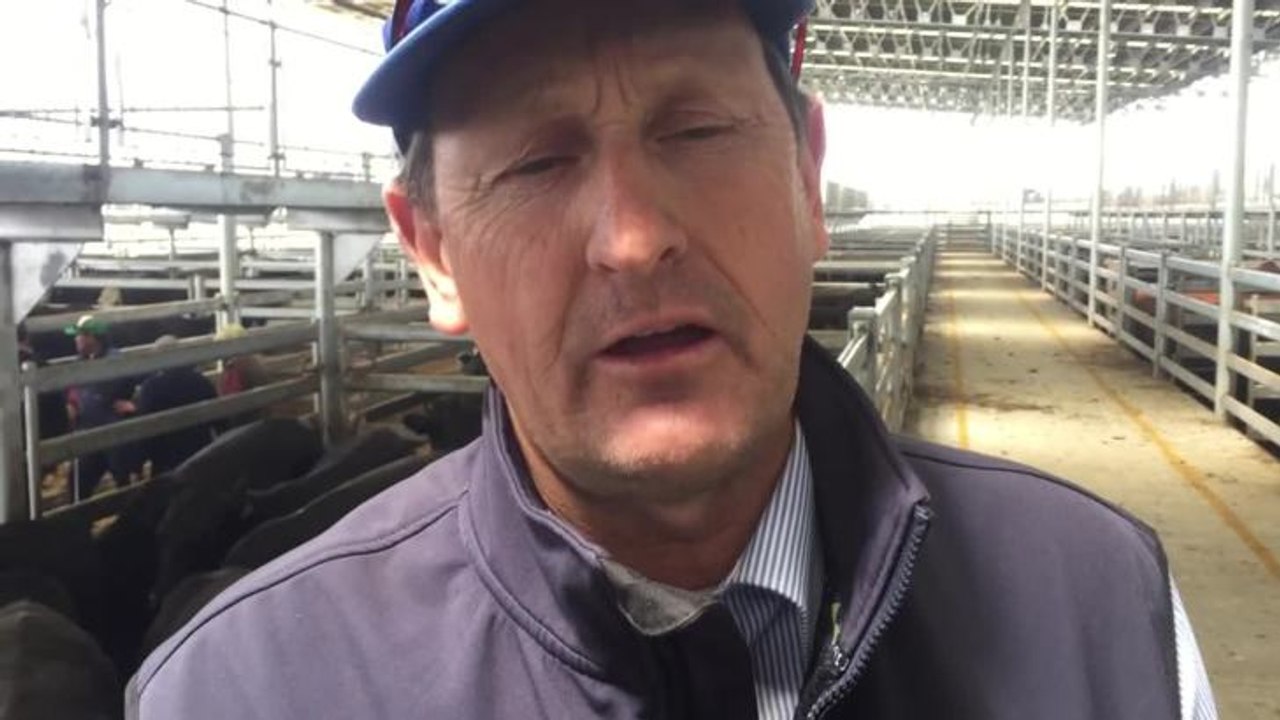 Mortlake store cattle wrap up