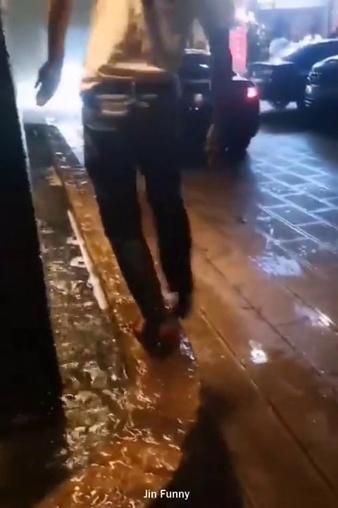 Best Funny Videos | Try to Not Laugh | Comedy video & Funny video |  comedy king | best funny video