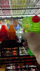 Has This Ever Happened to You in a Grocery Store | Squirt Gun in Store | You Will Laugh