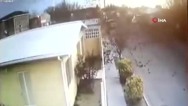 Meksika'da kuş sürüsü yere çakıldı, onlarca kuş telef oldu
