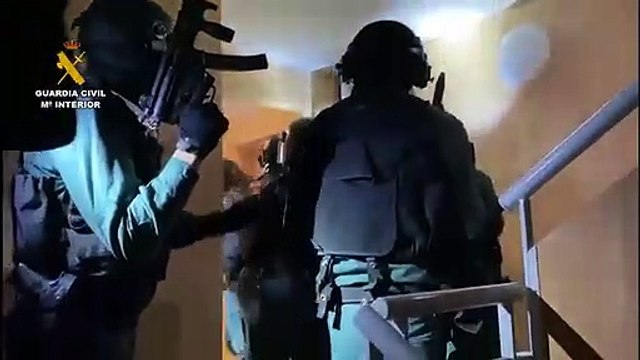 Detenidos varios miembros de Dominican Don’t Play