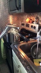 Crab Isn't Going Down Without a Fight