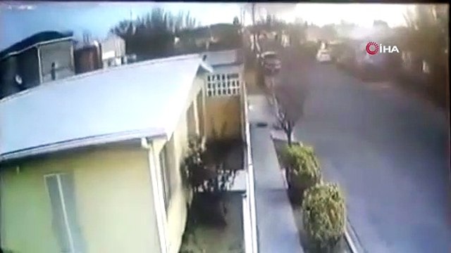 Kuş sürüsü yere çakıldı, onlarca kuş öldü