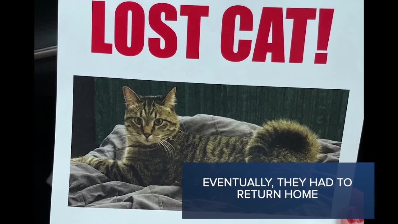 Check This Out: Missing cat found 9 months after it jumped out of RV, 100 miles away