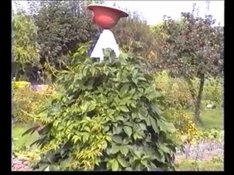 La prairie aux merveilles (vidéo)