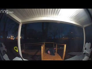 Guy Slips on Icy Ramp After Rain Storm