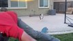 Skateboarding Dad Dodges Toddler After Crash