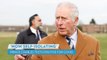 Prince Charles Tests Positive for COVID, Now Self-Isolating, Clarence House Announces