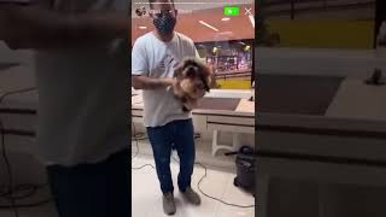 Puppy is Excited to See Mom After Bath at Pet Shop