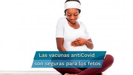 Covid-19: La vacuna de Pfizer no pone en peligro al feto, dice estudio