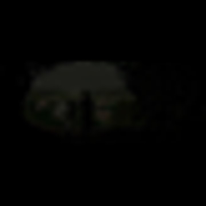 Trailer Into The Woods