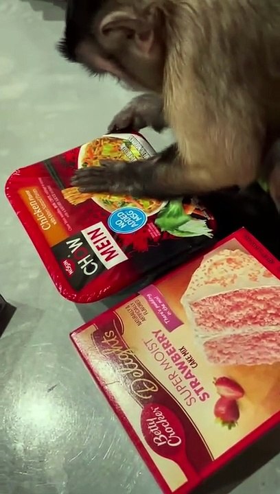 Come Bake a Cake With Me!! Cake Baking With Gaitlyn Rae!