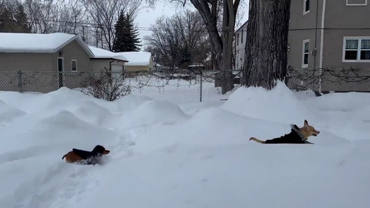 Storm brings a swath of snow across the Northern Plains