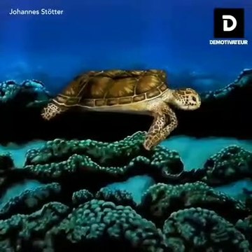 Amazing body paint art of different animals by our Artists