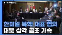 하와이에서 한미일 북핵 대표 협의...대북 삼각 공조 '가속' / YTN