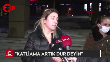 Ankara'da ölü bulunan 8 köpekte zehirlenme şüphesi