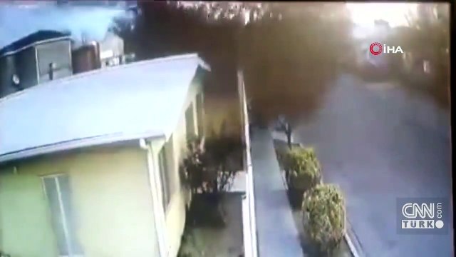 Kuş sürüsü yere çakıldı, onlarca kuş telef oldu