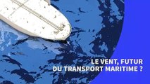 Le vent, futur du transport maritime ?