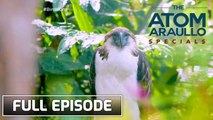 The Atom Araullo Specials: Bird hunt (Full Episode)