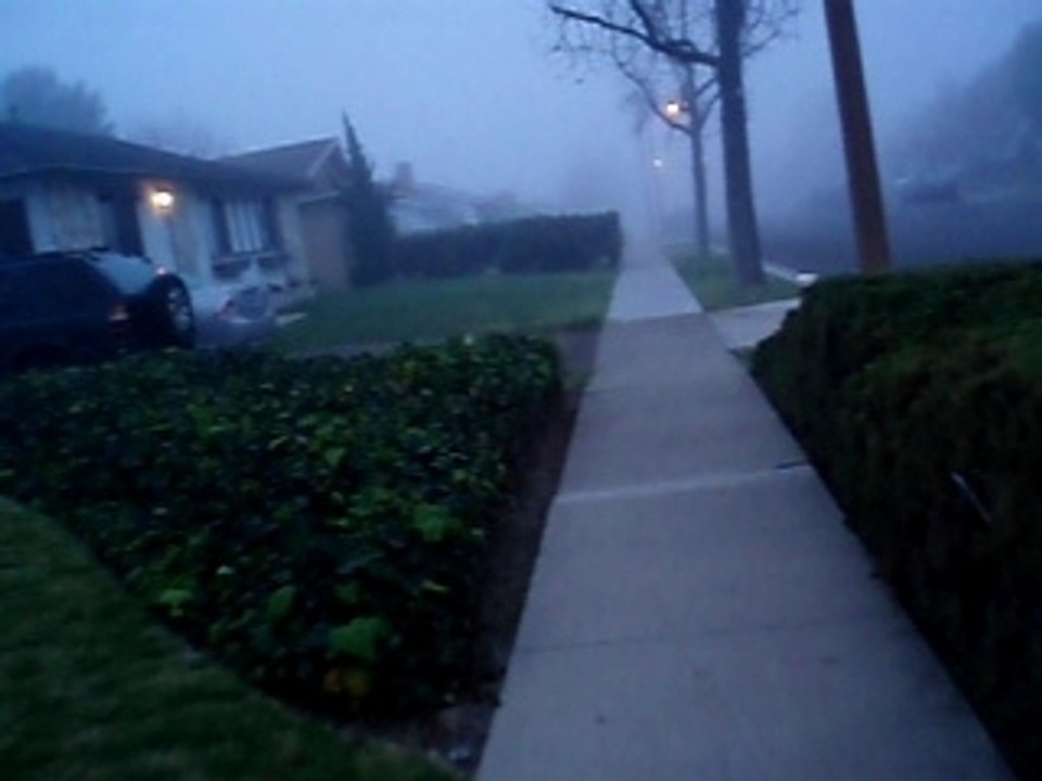 THURSDAY, MARCH 06, 2008