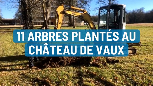 11 arbres plantés au Château de Vaux