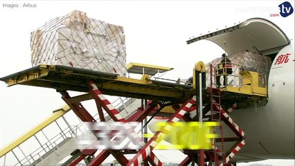 D’où vient cette bosse à l'avant de l'A330 Cargo ?