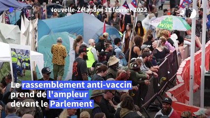 Nouvelle-Zélande: le campement anti-vaccin devant le parlement prend de l'ampleur
