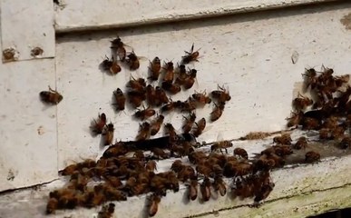 เรื่องพลบค่ำ ช่วงที่ 4 วันศุกร์ที่ 11 กุมภาพันธ์ 2565