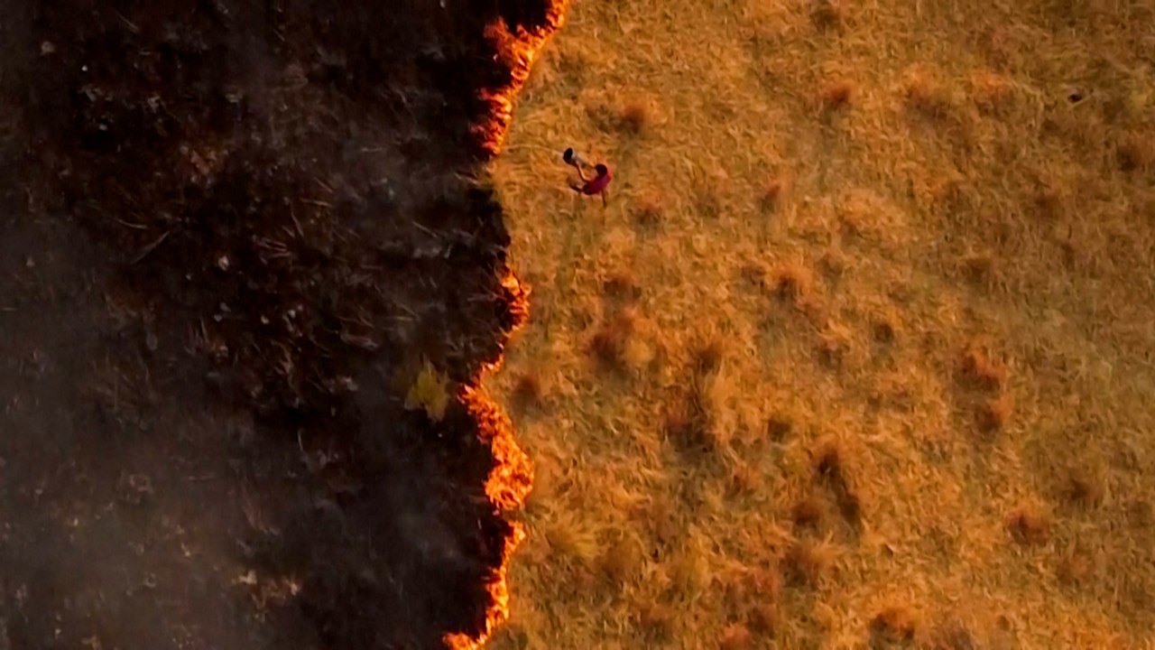 Waldbrände in Argentinien: 'So etwas noch nie gesehen'