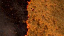 Waldbrände in Argentinien: 
