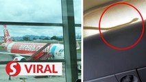 Slithery serpent forces plane bound for Tawau to land in Kuching