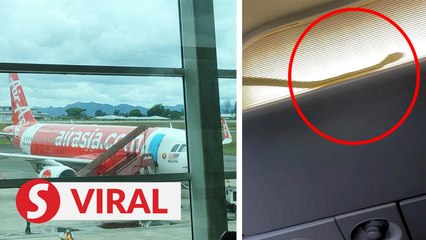 Slithery serpent forces plane bound for Tawau to land in Kuching