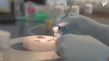 Woman wins £3.5m mansion after buying £10 ticket for a house prize draw