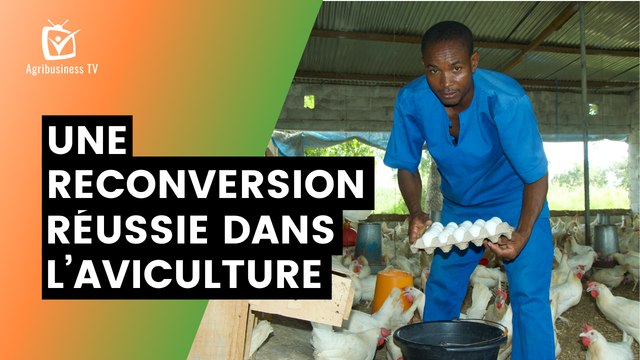 Burkina Faso : Une reconversion réussie dans l’aviculture