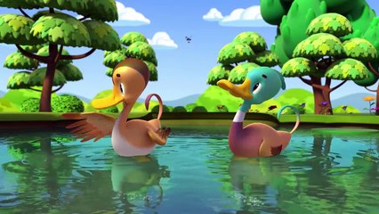 Sink or Float With Ducks! - Blippi Wonders _ Fun and Educational Cartoons For Kids