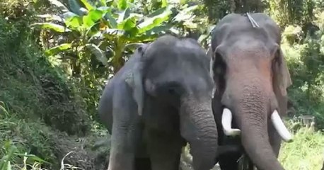 9 ข่าวค่ำ ช่วงที่ 5 วันศุกร์ที่ 11 กุมภาพันธ์ 2565