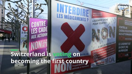 Switzerland votes on whether to become the first country to ban animal testing