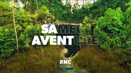 Retour à l’instinct primaire - 12 février