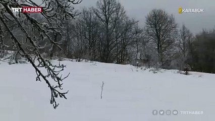 Karda gezen iki karaca kameraya böyle yansıdı