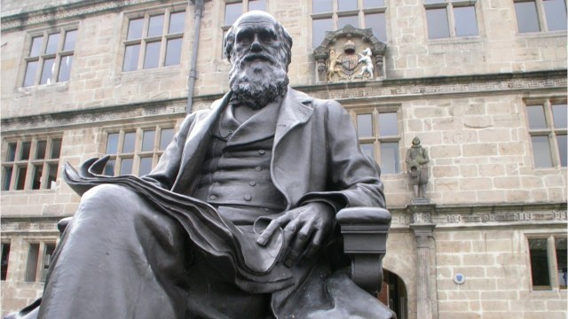 Qui est Charles Darwin, le père de la théorie de l'évolution ?