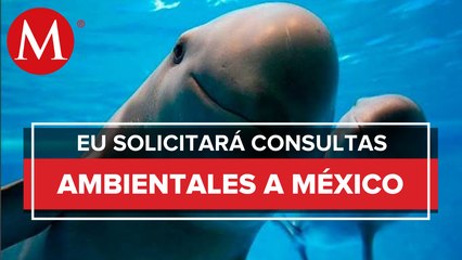 Secretaría de Economía dará seguimiento a solicitud de consultas ambientales de EU