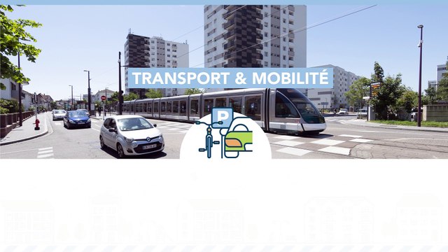 Quartier de Hautepierre : l'étude d'impact environnemental