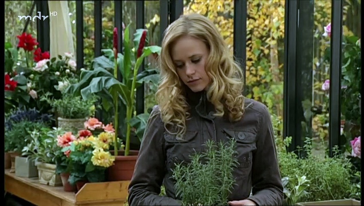 Sturm der Liebe Folge 515