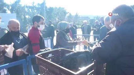 Kocaeli'de vatandaş hamsiye doydu